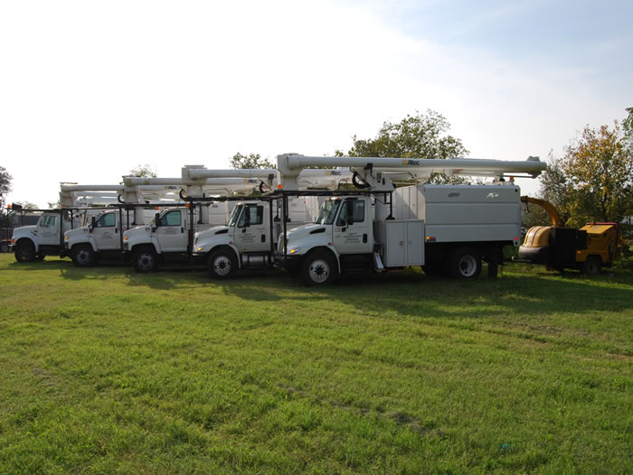 Bucket Trucks